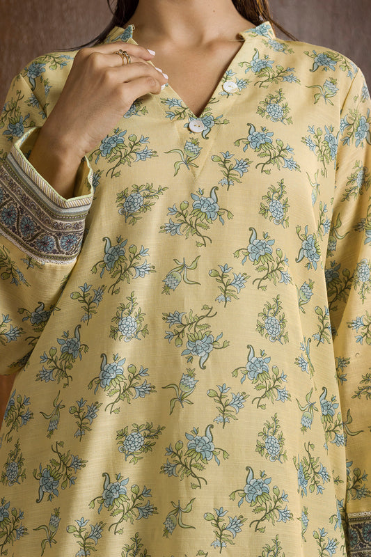 Kurta Trouser - 2691