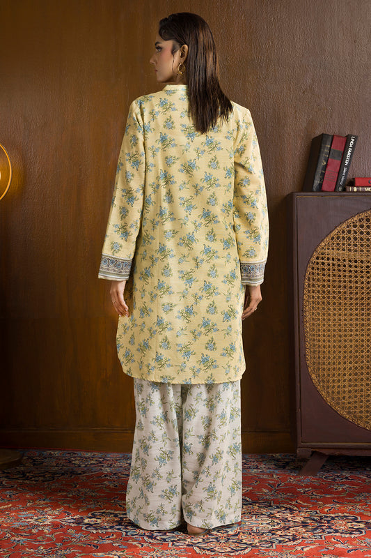 Kurta Trouser - 2691