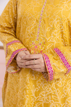 Embroidered Kurta Dupatta Trouser - 2527