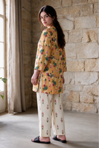 Embroidered Kurta Trouser - 1248