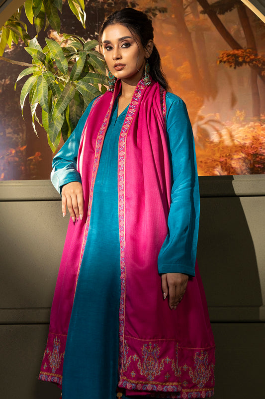 Shawl - 0011
