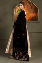 Zari Embroidered Shawl - 0029