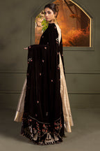 Zari Embroidered Shawl - 0029