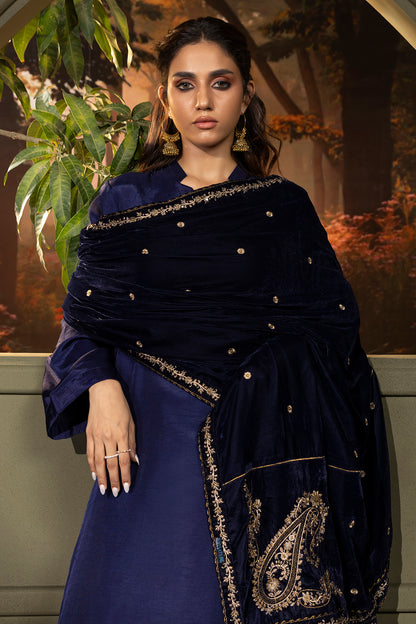 Zari Embroidered Shawl - 0030
