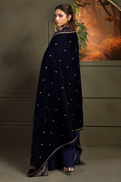 Zari Embroidered Shawl - 0030