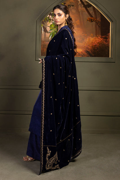 Zari Embroidered Shawl - 0030