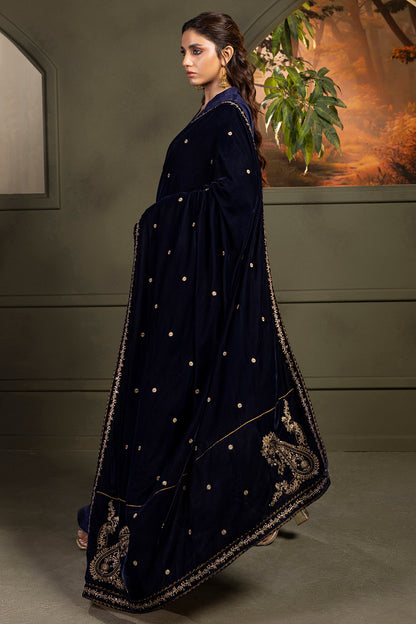 Zari Embroidered Shawl - 0030