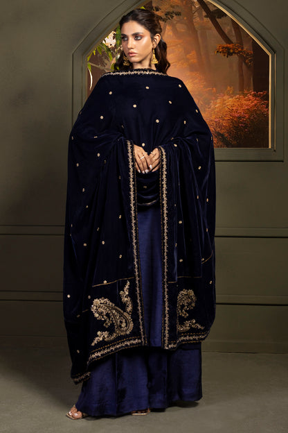 Zari Embroidered Shawl - 0030