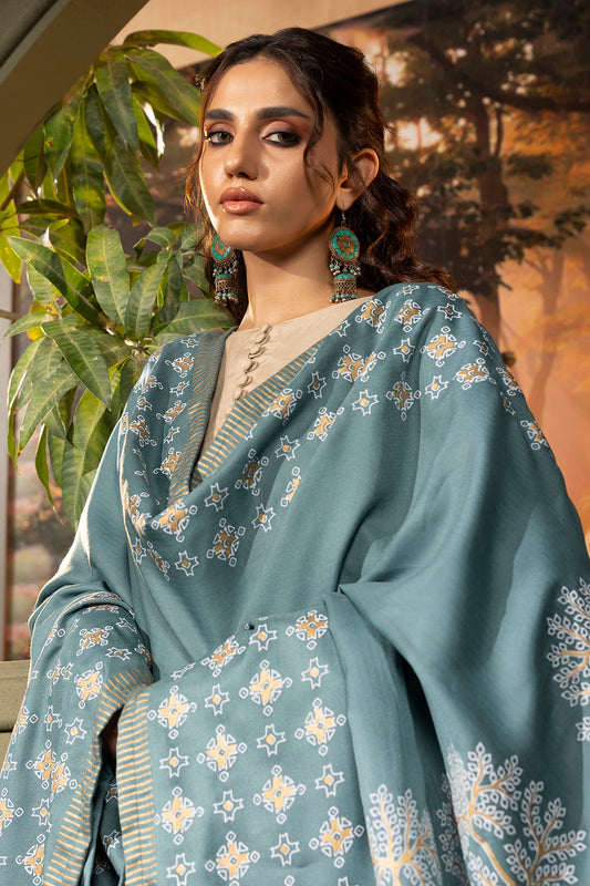 Shawl - 0004