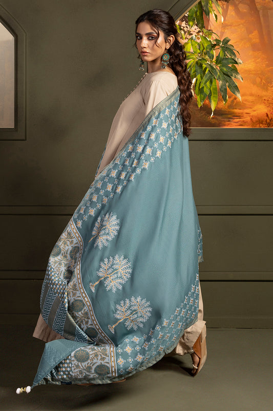 Shawl - 0004
