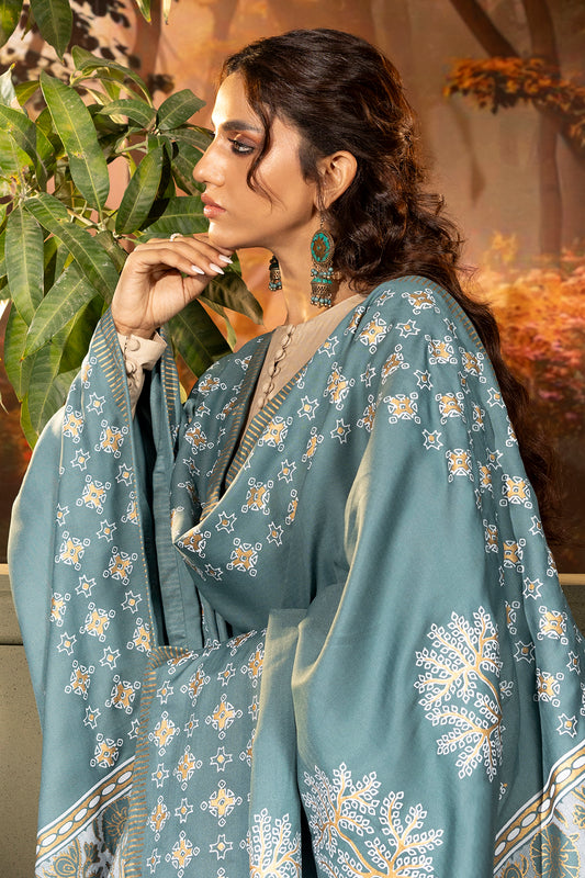 Shawl - 0004