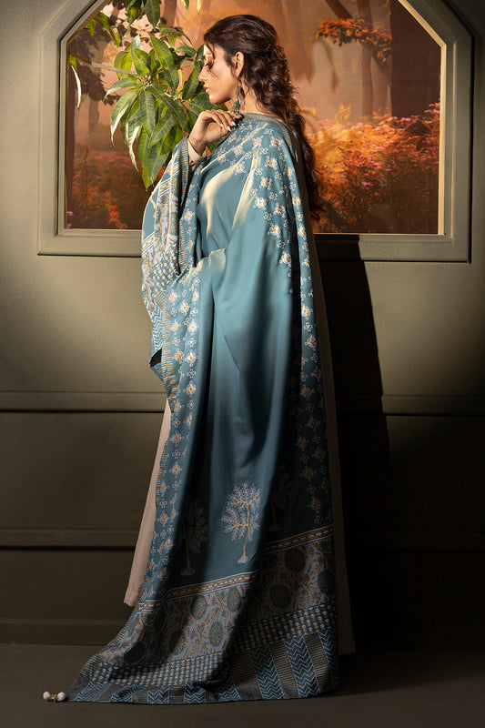 Shawl - 0004