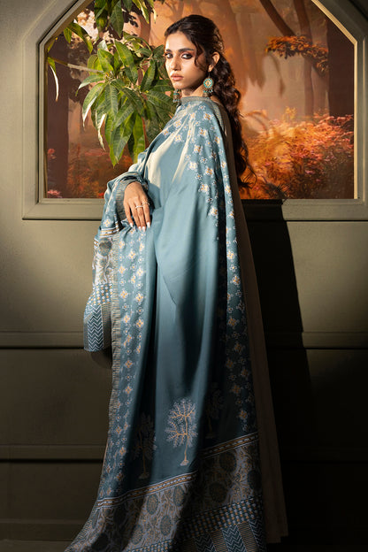 Shawl - 0004