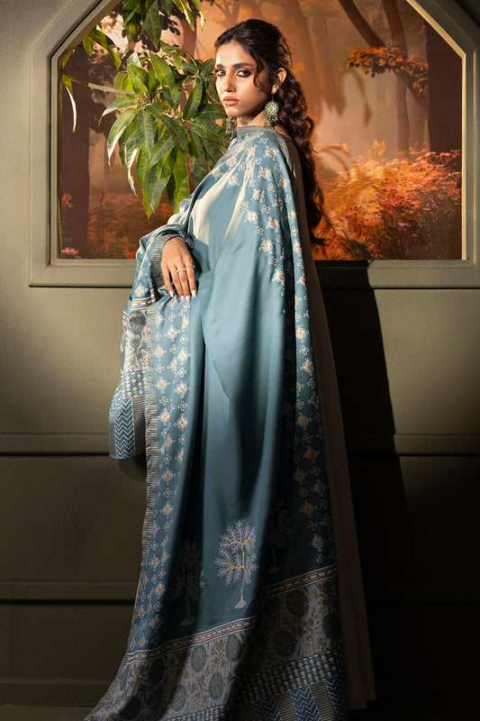 Shawl - 0004