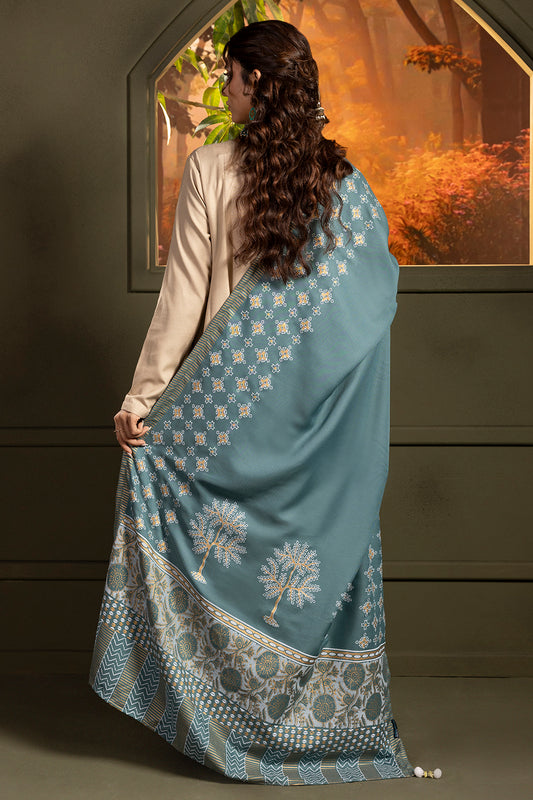 Shawl - 0004