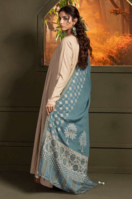 Shawl - 0004