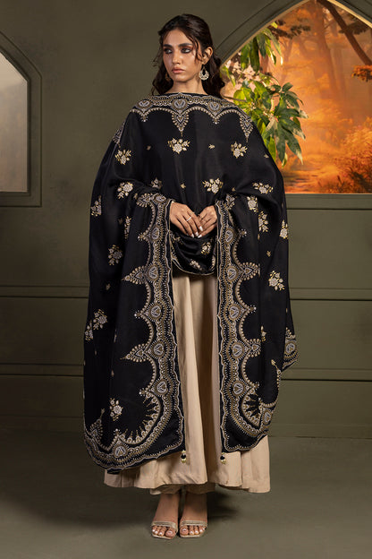 Shawl - 0024