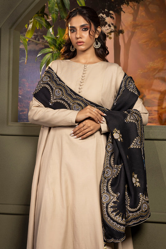 Shawl - 0024