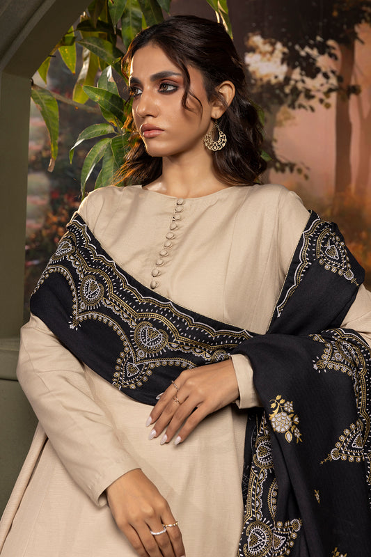Shawl - 0024