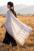 Chikankari Shawl - 0034