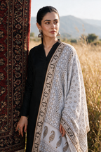 Chikankari Shawl - 0034