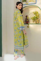 Embroidered Shirt Shalwar - 0104