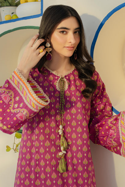 Embroidered Shirt Shalwar - 0114