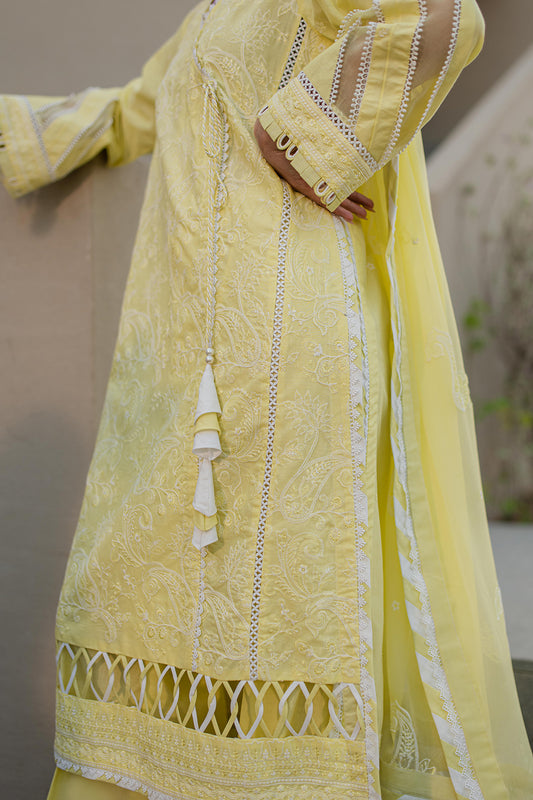 Embroidered Shirt Shalwar Dupatta - 0707