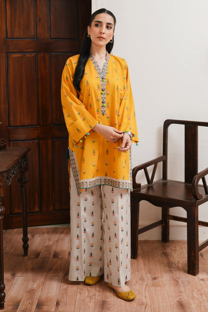 Shirt Shalwar - 0099