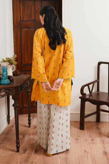 Shirt Shalwar - 0099