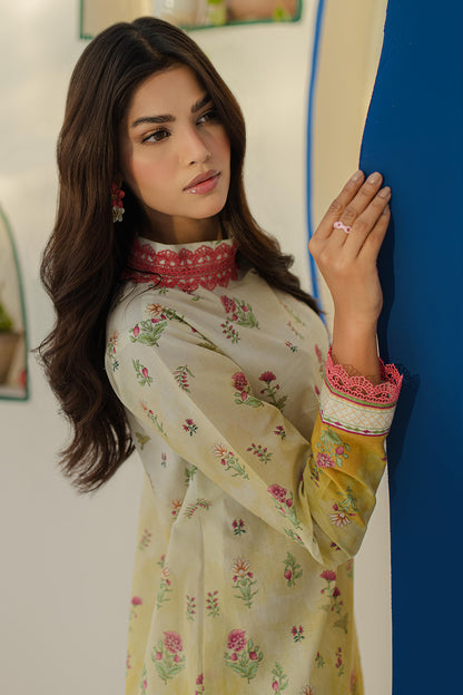 Shirt Shalwar - 0101