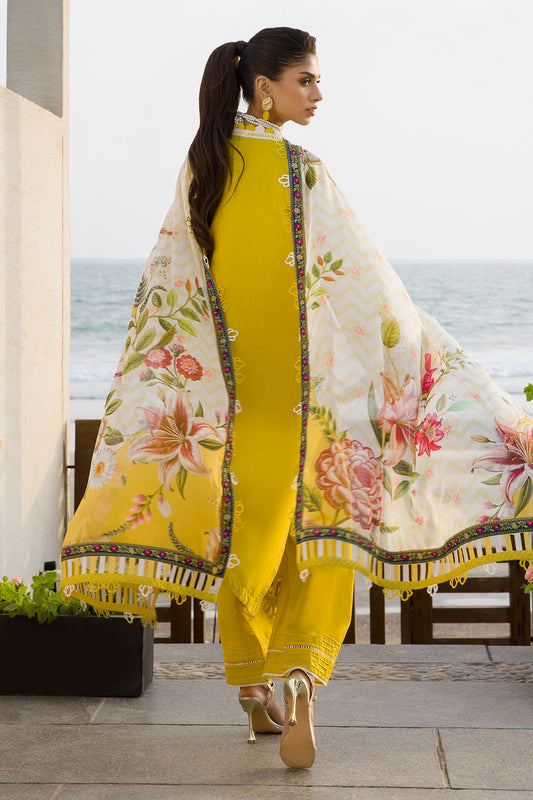Embroidered Shirt Shalwar Dupatta - 0073