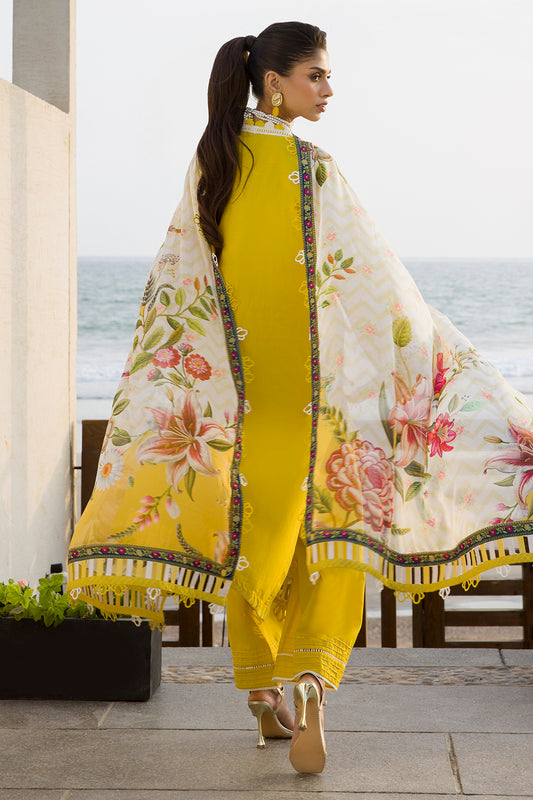 Embroidered Shirt Shalwar Dupatta - 0073