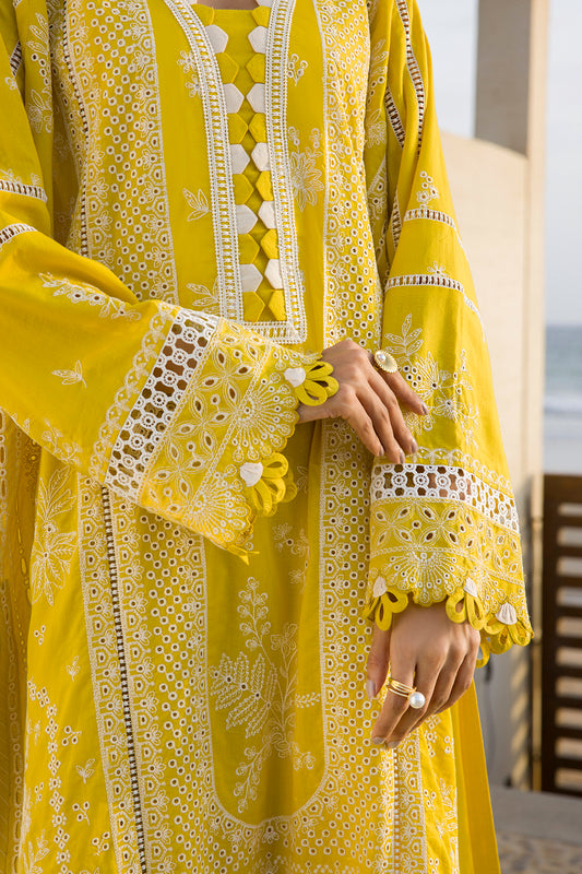Embroidered Shirt Shalwar Dupatta - 0073