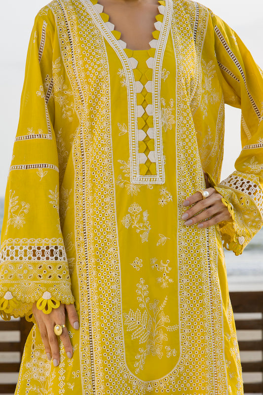 Embroidered Shirt Shalwar Dupatta - 0073