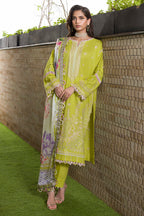 Embroidered Shirt Shalwar Dupatta - 0081