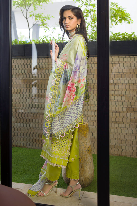 Embroidered Shirt Shalwar Dupatta - 0081