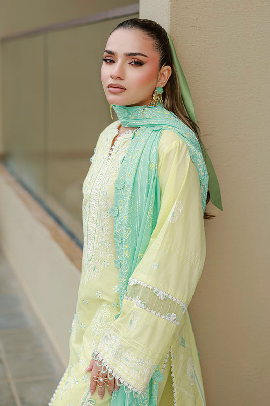 Embroidered Shirt Shalwar Dupatta - 4046
