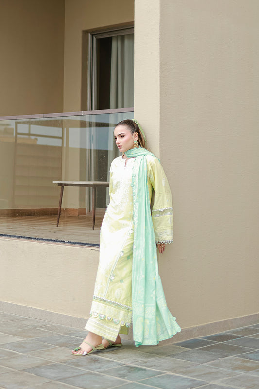 Embroidered Shirt Shalwar Dupatta - 4046