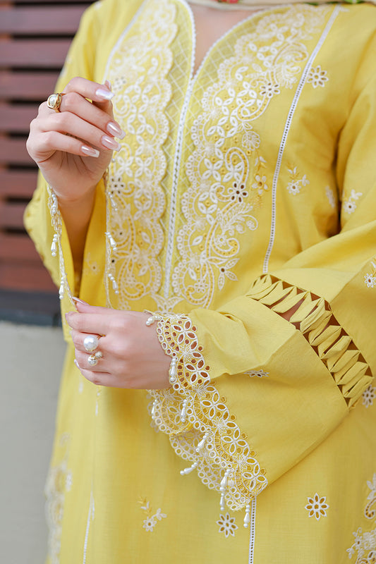 Embroidered Shirt Shalwar Dupatta - 4056