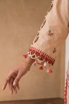 Embroidered Shirt Shalwar - 0019