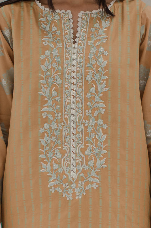 Embroidered Shirt Shalwar - 0617