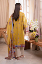 Shirt Dupatta - 1616