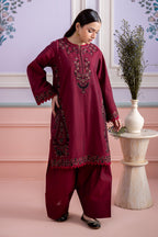Embroidered Shirt Shalwar - 0528