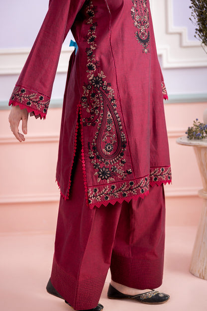 Embroidered Shirt Shalwar - 0528