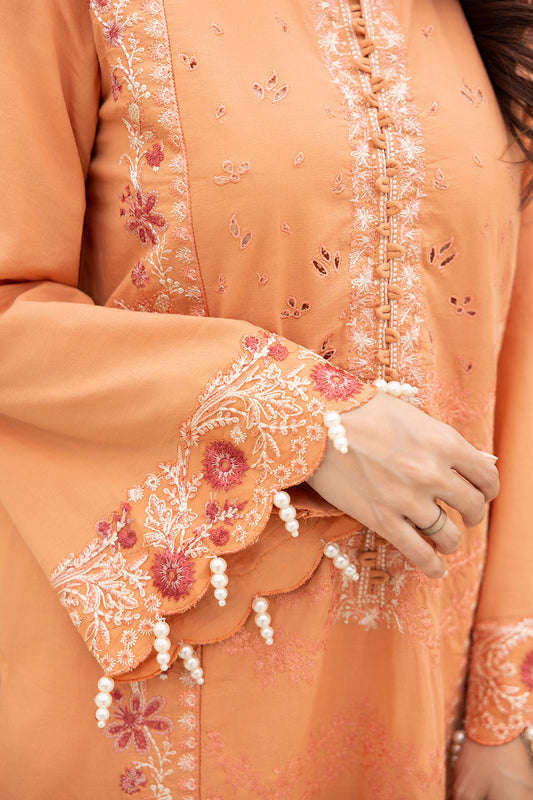 Embroidered Shirt Shalwar Dupatta - 0289