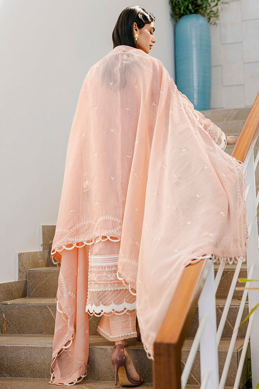 Embroidered Shirt Shalwar Dupatta - 0803