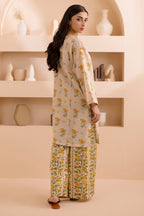 Shirt Shalwar - 0173