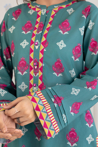Shirt Shalwar - 0481