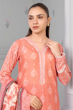 Shirt Shalwar Dupatta - 0334